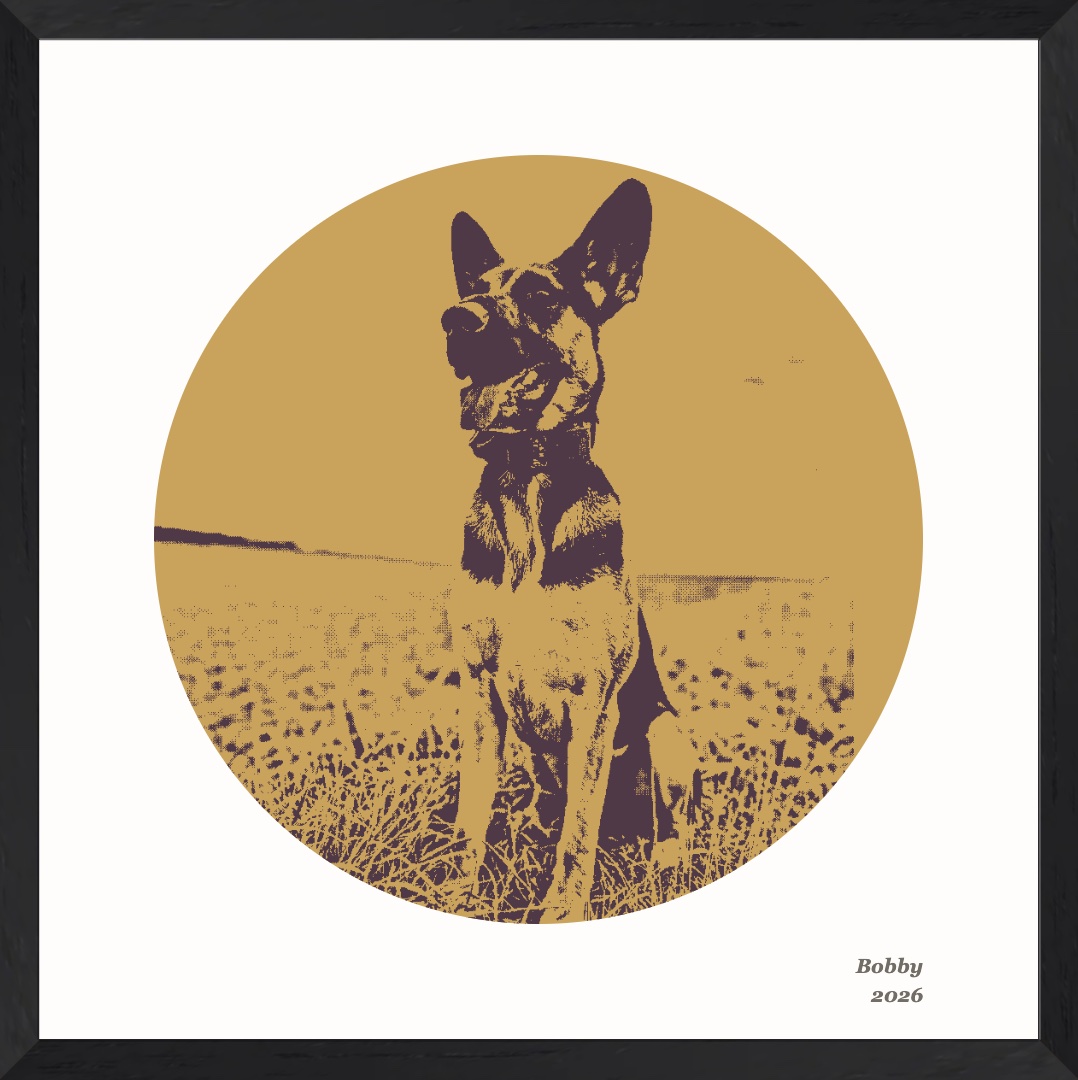Bobby, a German Shepherd, shown as a mustard and plum personalised SCREENPRINT in a black frame — an example made from a customer's photograph