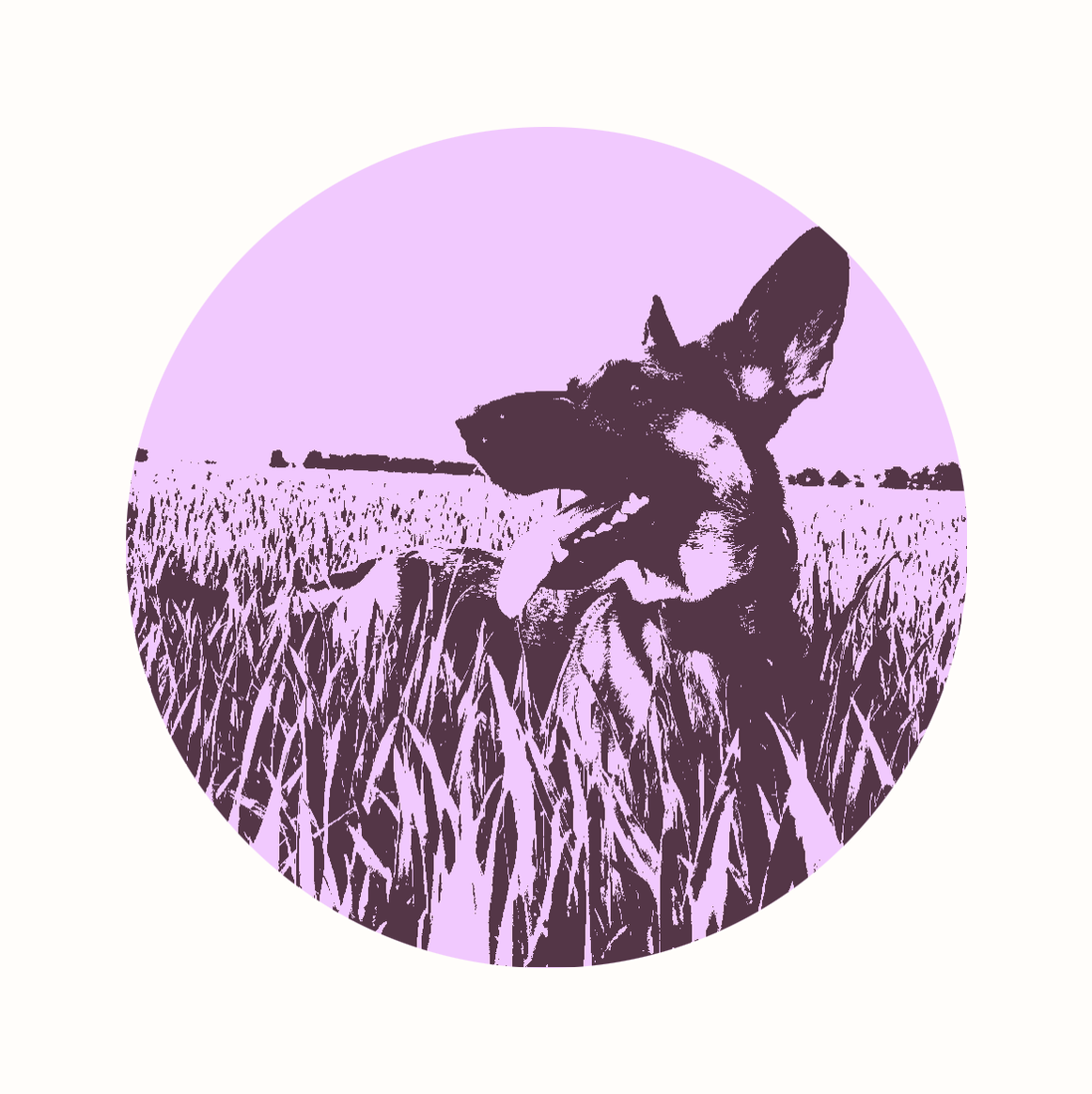 Aubergine and pale pink framed screenprint-style artwork of a dog in a living room
